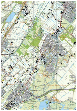 Topografische kaart Lisse
